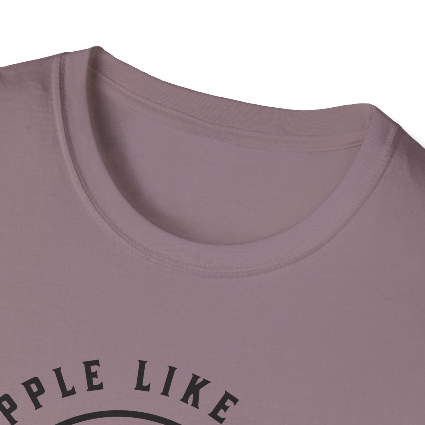 Grapple like a Girl Jiu Jitsu Women's T-Shirt - Fear is a Liar