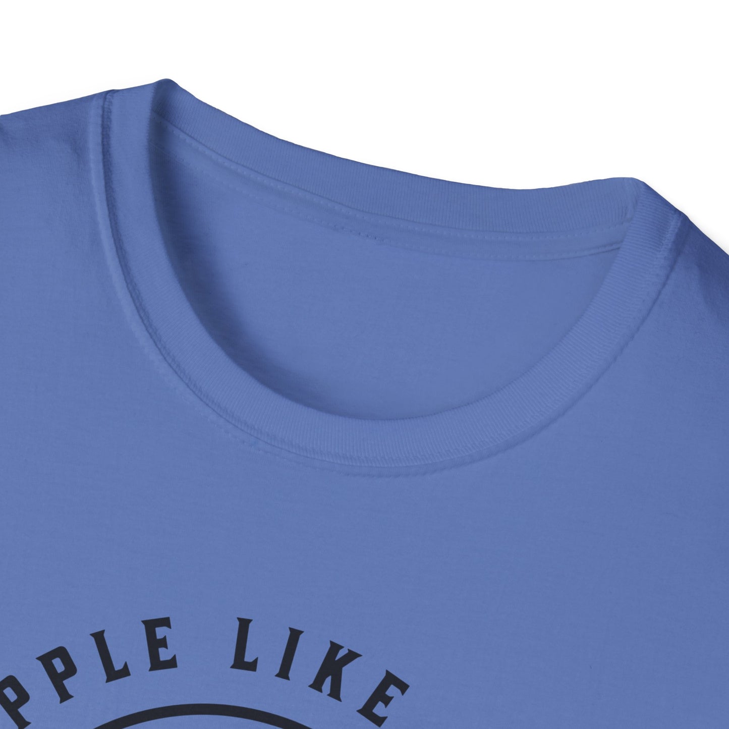 Grapple like a Girl Jiu Jitsu Women's T-Shirt - Fear is a Liar
