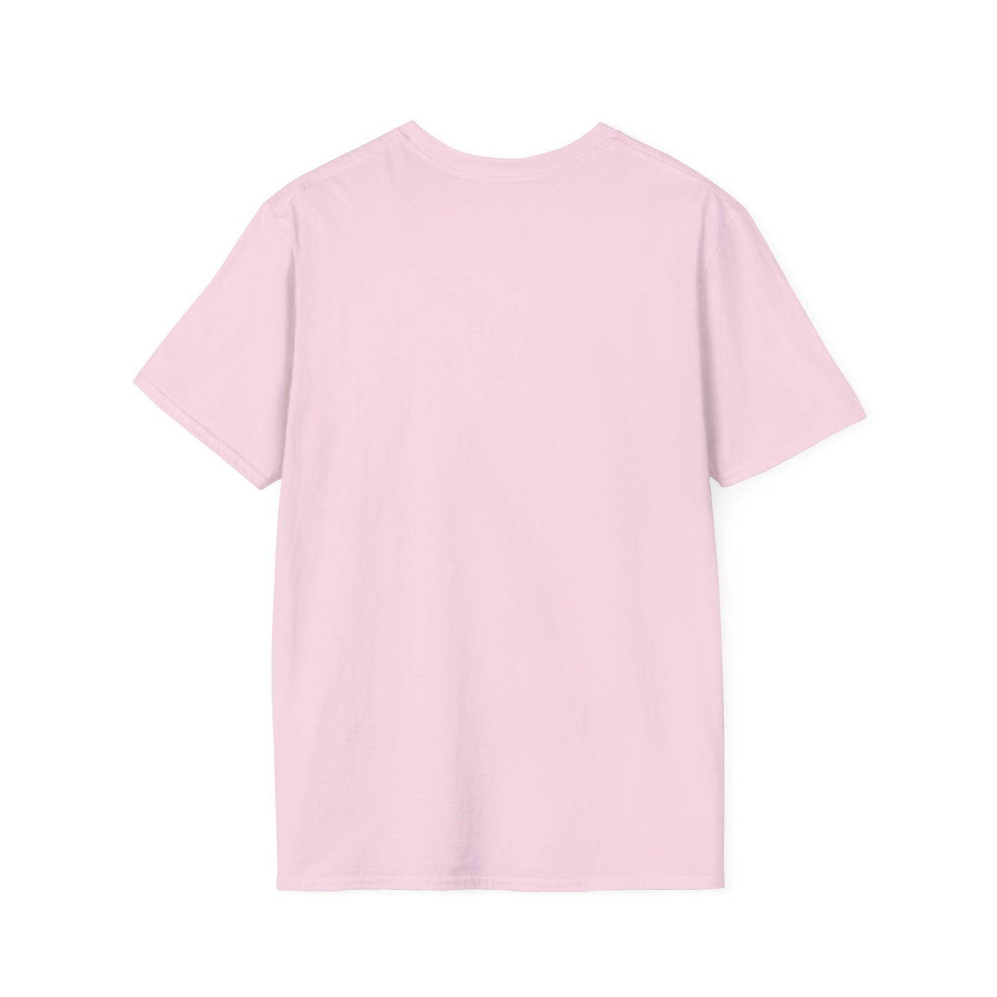 Grapple like a Girl T-Shirt - Tampa Skyline